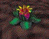 IMG512.GIF.cst.iff