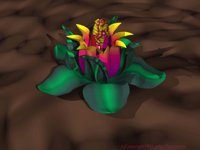 IMG512.GIF