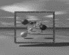IMG511.GIF.gst.iff