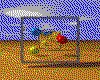 IMG511.GIF.cst.iff