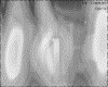 IMG510.GIF.gst.iff