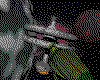 IMG496.GIF.cst.iff