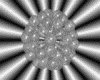 IMG495.GIF.gst.iff