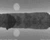 IMG492.GIF.gst.iff