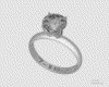 IMG484.GIF.gst.iff