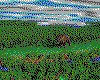 IMG481.GIF.cst.iff
