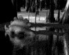IMG473.GIF.gst.iff