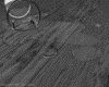 IMG472.GIF.gst.iff