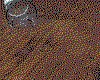 IMG472.GIF.cst.iff