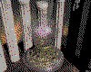 IMG471.GIF.cst.iff