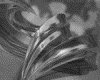 IMG470.GIF.gst.iff