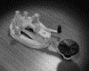 IMG467.GIF.gst.iff