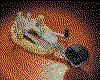 IMG467.GIF.cst.iff