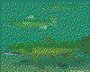 IMG453.GIF.cst.iff