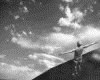 IMG439.GIF.gst.iff