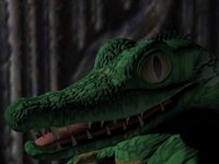 IMG431.GIF