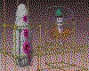 IMG420.GIF.cst.iff