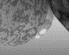 IMG417.GIF.gst.iff