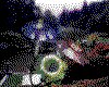IMG412.GIF.cst.iff