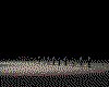 IMG405.GIF.cst.iff