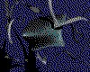 IMG401.GIF.cst.iff