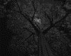 IMG399.GIF.gst.iff