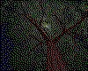 IMG399.GIF.cst.iff