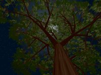 IMG399.GIF