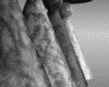 IMG388.GIF.gst.iff