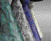 IMG388.GIF.cst.iff