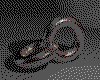 IMG378.GIF.cst.iff