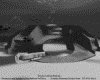 IMG375.GIF.gst.iff