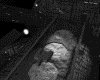 IMG373.GIF.gst.iff