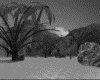 IMG369.GIF.gst.iff