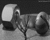 IMG367.GIF.gst.iff