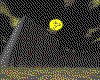 IMG363.GIF.cst.iff