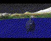IMG359.GIF.cst.iff