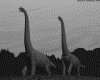 IMG355.GIF.gst.iff