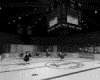 IMG343.GIF.gst.iff