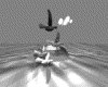 IMG336.GIF.gst.iff