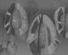 IMG333.GIF.gst.iff