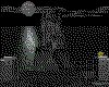 IMG332.GIF.cst.iff