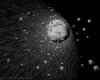 IMG330.GIF.gst.iff