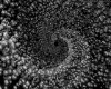 IMG323.GIF.gst.iff