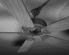 IMG321.GIF.gst.iff