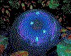 IMG314.GIF.cst.iff