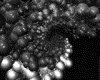 IMG312.GIF.gst.iff