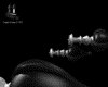 IMG306.GIF.gst.iff