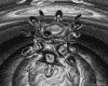 IMG304.GIF.gst.iff
