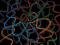 IMG296.GIF